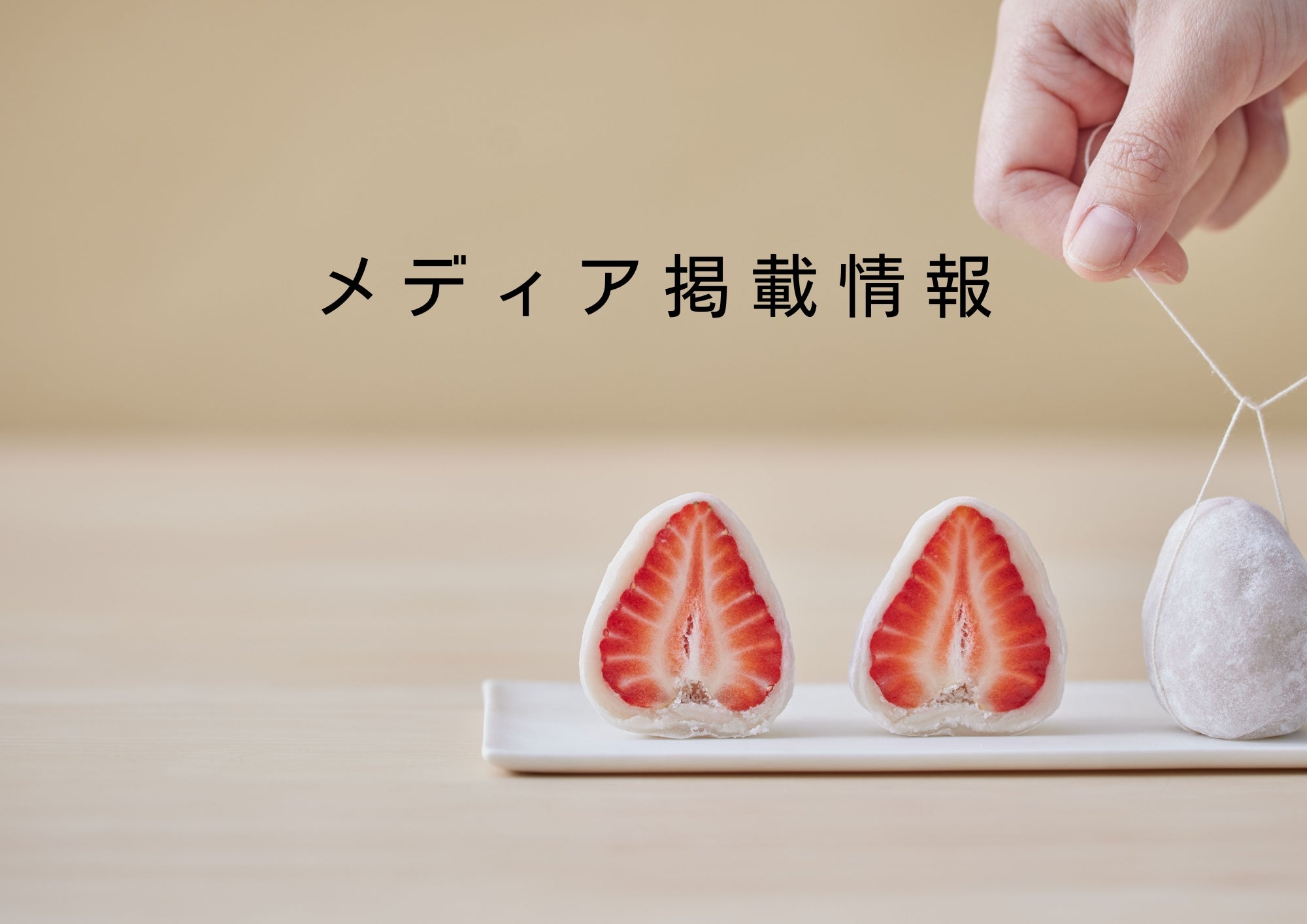 「AND PLANTS Magazineさんに掲載していただきました」