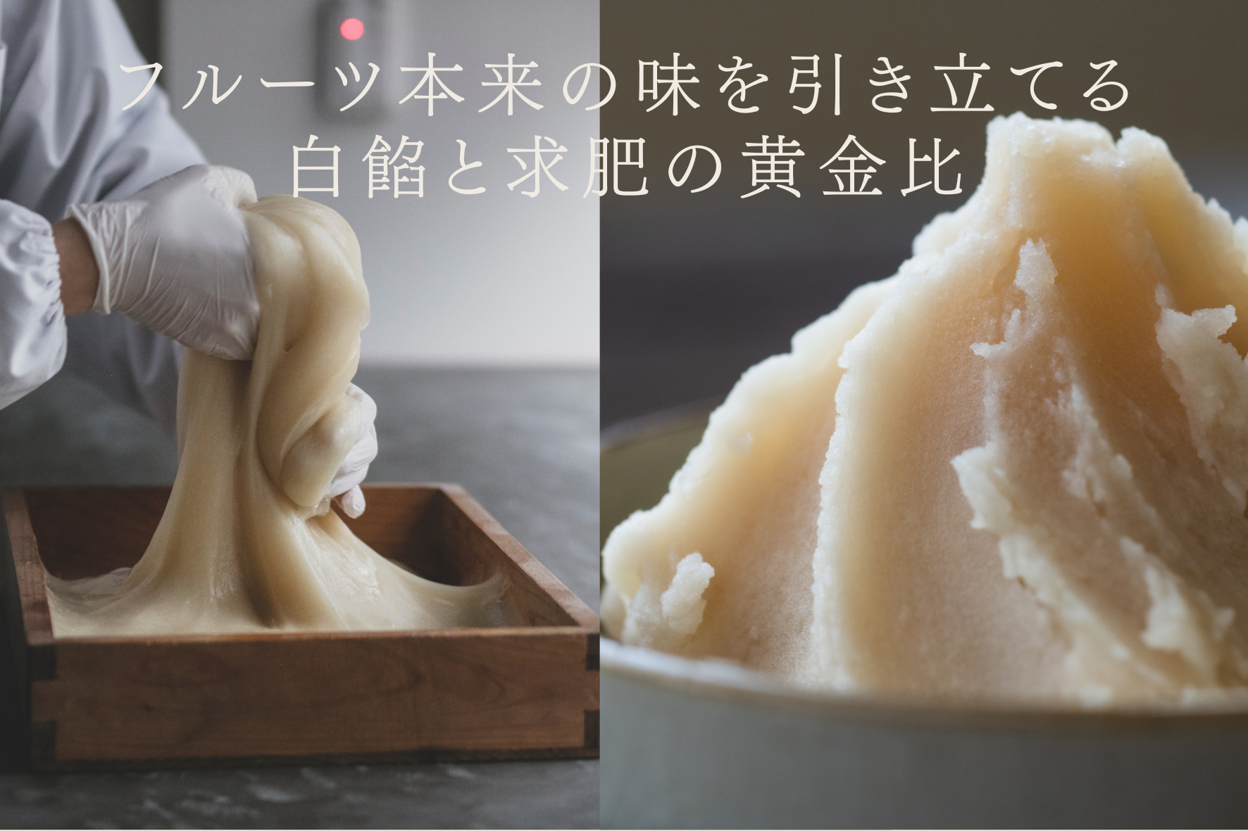 季節のフルーツ大福(6個入り)