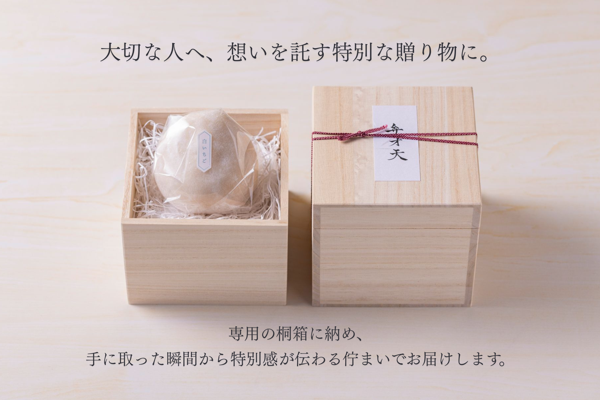 【数量限定】天使の実 プレミアム白いちご大福 1個入り ※3月12日頃より順次発送予定