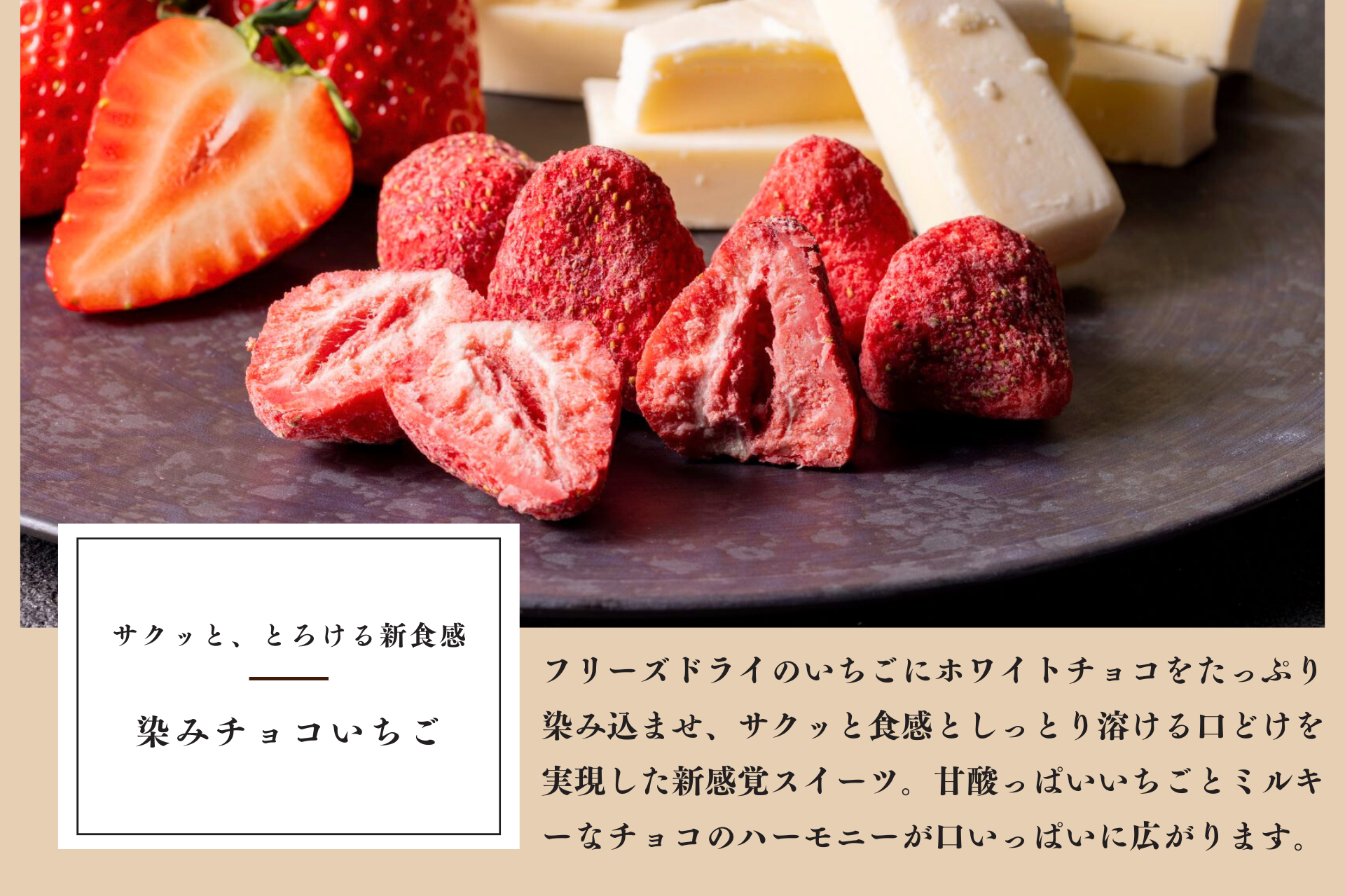 【化粧箱入り】染みチョコいちご(5粒入り×3箱セット)