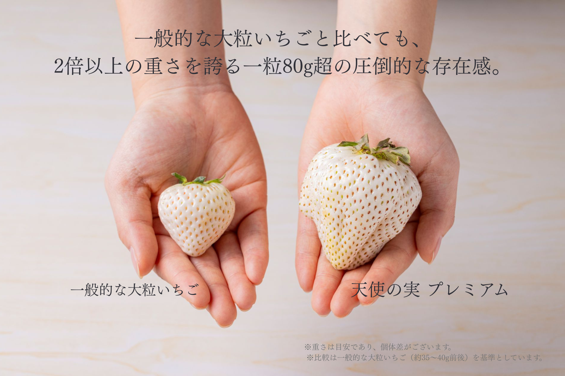 【数量限定】天使の実 プレミアム白いちご大福  1個入り　※3月12日頃より順次発送予定