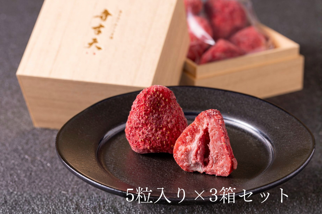 化粧箱入り】染みチョコいちご（5粒入り×3箱セット）